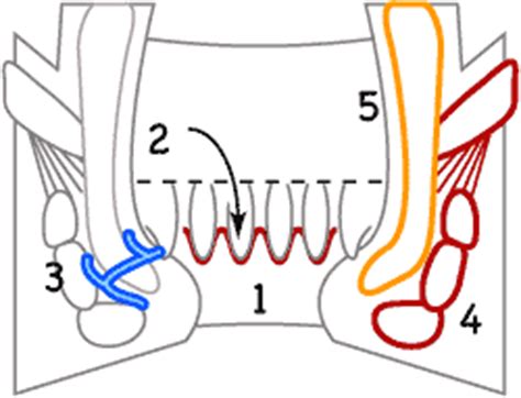 Image result for Matplotlib Origin Center