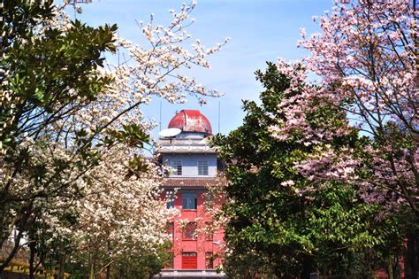 中国石油大学在哪个城市（该校校训是什么）-趣百科