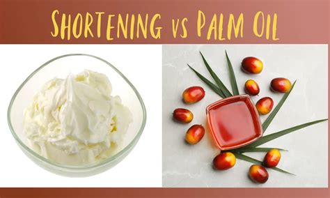 Shortening vs Palm Oil: Which is Better? - The Coconut Mama
