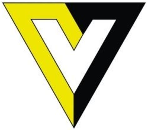 Libertarian 的图像结果