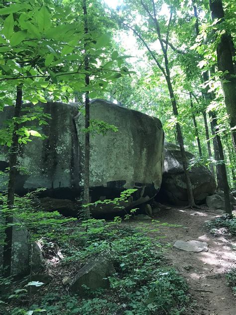 Big Rock Nature Preserve (Charlotte): All You Need to Know