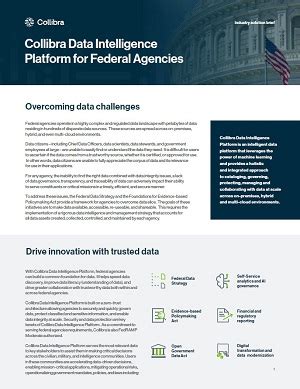 Image result for Collibra Operating Model Diagram