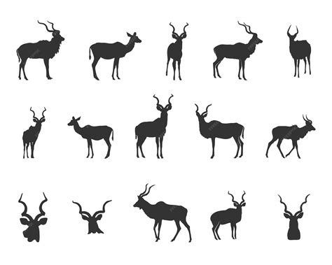 Kudu sylwetka Kudu róg sylwetka poroże sylwetka Kudu głowa Kudu SVG ...