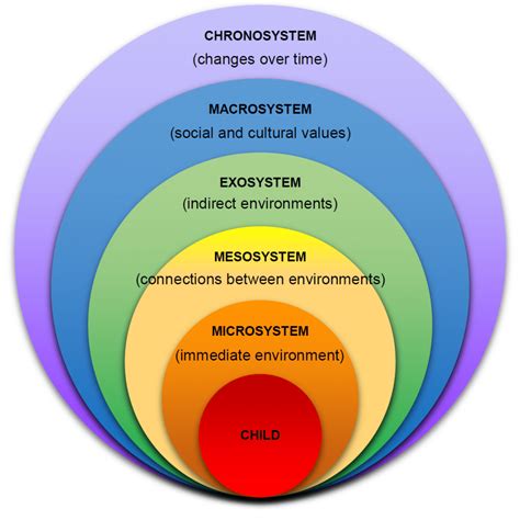 Systems Theory in Social Work: Examples, Uses & Key Concepts
