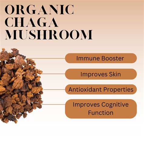 What is Chaga Mushroom Tea? - History, Benefits, and More – Full Leaf ...