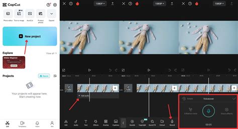 Use CapCut to Improve Your Voice Over in Animation