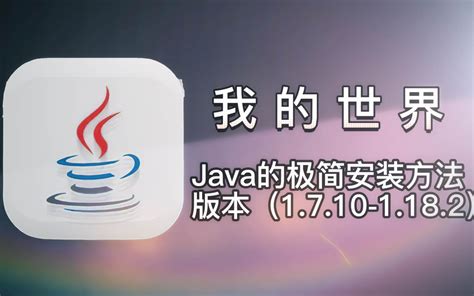 Java 64-Bit Windows 8 的图像结果