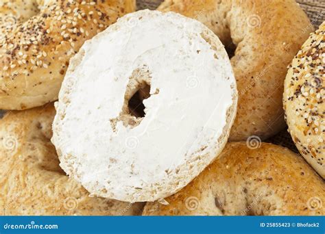 Homemade Fresh Whole Grain Bagel Stock Image - Image of multigrain ...