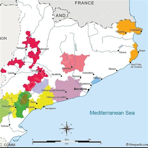 CATALONIA WINE TOURS (Updated 2026) All You Need to Know BEFORE You Go ...