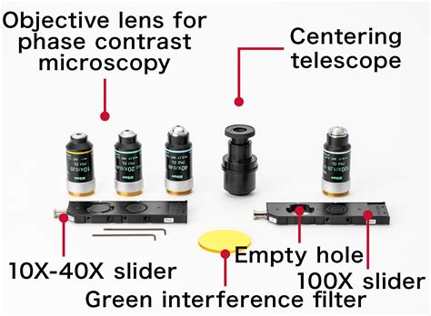 Image result for How to Use a Phase Contrast Microscope