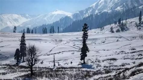 Weather Forecast: Snowfall in Mountains Triggers Temperature; Tremors ...