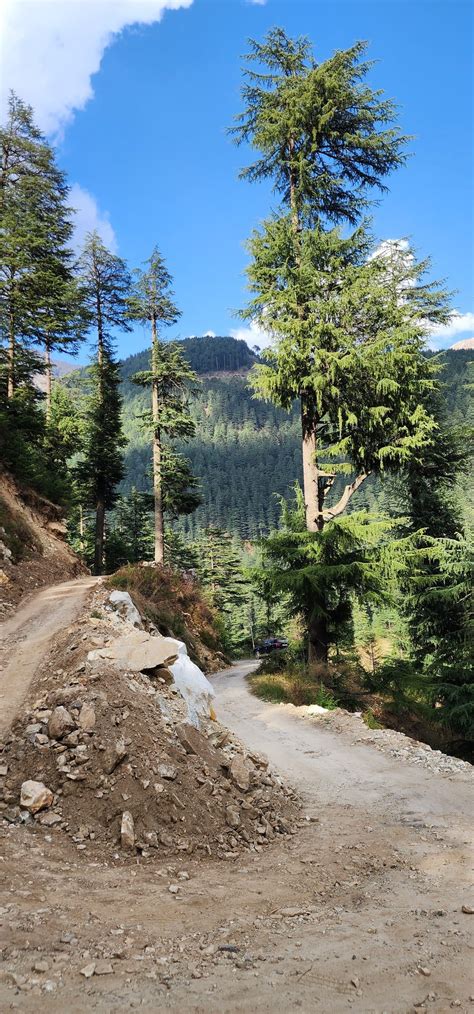 Jibhi - Complete Travel Guide to Himachal's Hidden Paradise | Jibhi Valley