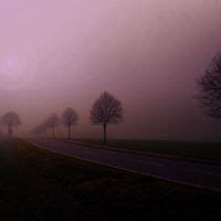 fallen angel's tears MP3 Song Download | lament @ WynkMusic