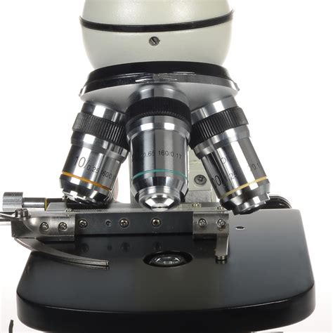 Image result for Objectives Microscope Function