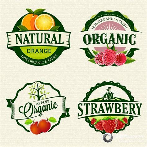 精美水果商标标签—矢量素材