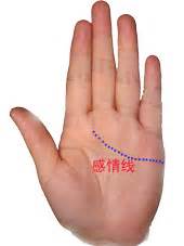手掌算命百科，通過手掌比例算命，手掌比例的_98手相網