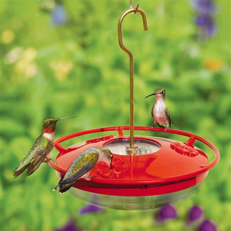Make Your Own Hummingbird Feeder