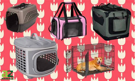 training a puppy with separation anxiety