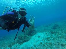 dive cozumel discover scuba diving in cozumel cozumel cruise excursions dive cozumel discover scuba diving in cozumel cozumel cruise excursions