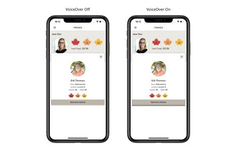 Image result for iOS Voice Over Basics