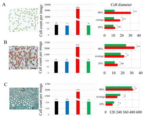 A Microimage-Processing-Based Technique for Detecting Qualitative and ...