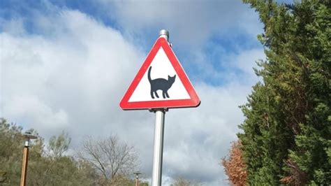 Nueva señal en Arroyo de la Encomienda para proteger a los gatos: “No ...