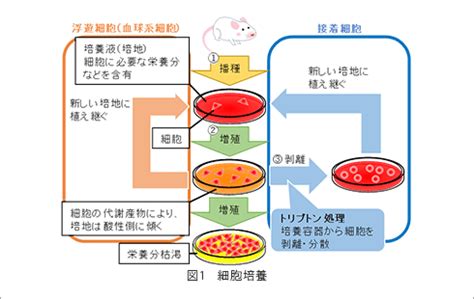 Image result for Computer Training Sample