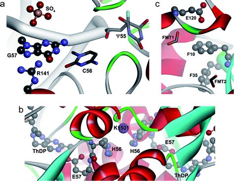 Image result for Anion Testing CSEC