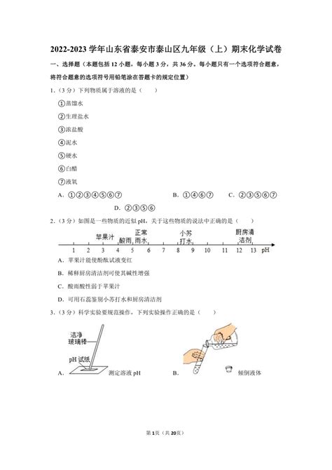 山东省泰安市泰山区2022-2023学年九年级上学期期末化学试题（含解析）-21世纪教育网