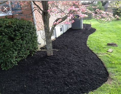 Black Mulch Landscaping Ideas: Transforming Your Outdoor Space with ...