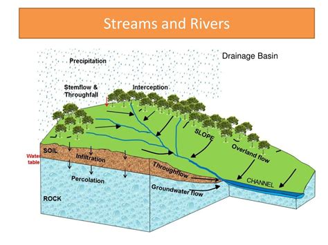 PPT - Discovering Earth's Water Wonders PowerPoint Presentation, free ...