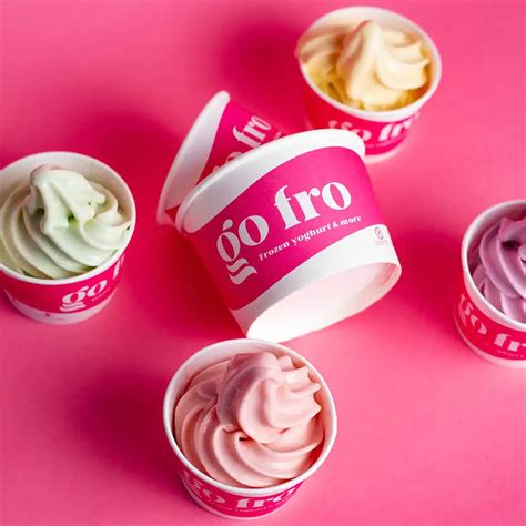 Go Fro-Frozen Yogurt & More, Vile Parle East, Mumbai | Zomato