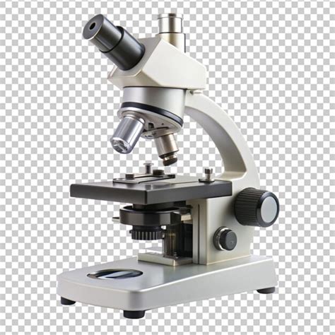 Microscope No Background 的图像结果
