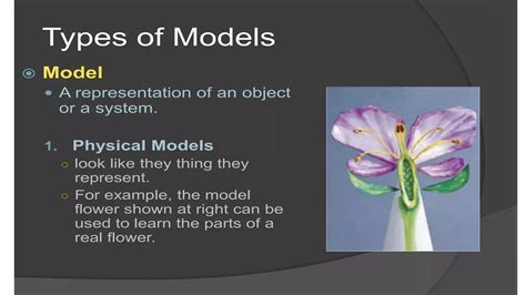Scientific Model Making 的图像结果