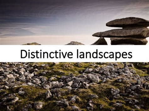 Feature 的图像结果