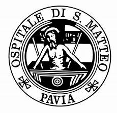 file logo san matteo pavia jpg file logo san matteo pavia jpg