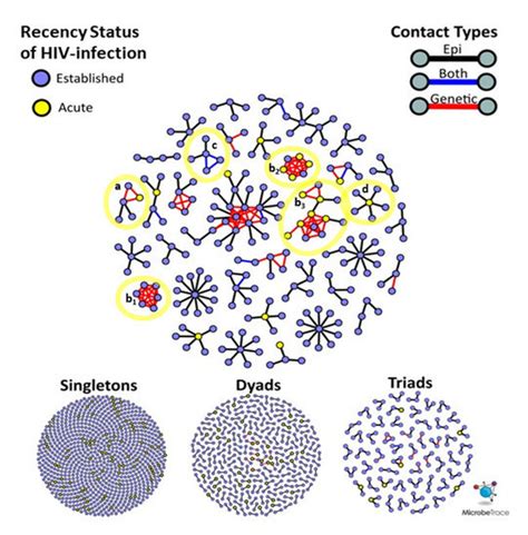 Phylodynamic Analysis Complements Partner Services by Identifying Acute ...