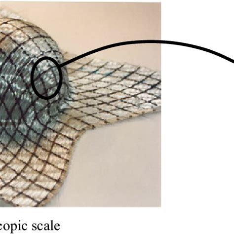 Textile Mutiscale 的图像结果