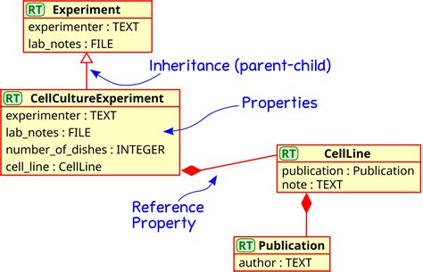Image result for SSMS Data Model Tutorial for Beginners