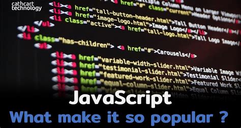 Why JavaScript Is so Popular 的图像结果