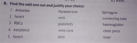 please tell me the answer of this questions - Brainly.in