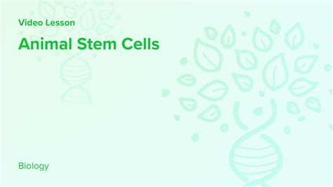 Stem Cells Free Science Lessons 的图像结果