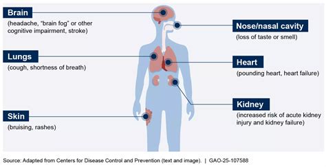 GAO Highlights Final COVID-19 Report