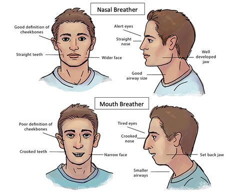 The problem with mouth breathing — Seed to Sprout
