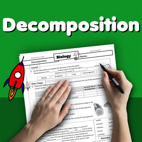 Stages Of Human Decomposition Worksheet
