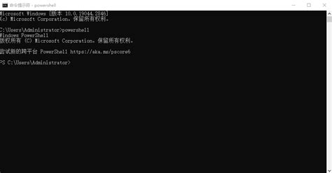 Use Windows PowerShell Dork 的图像结果