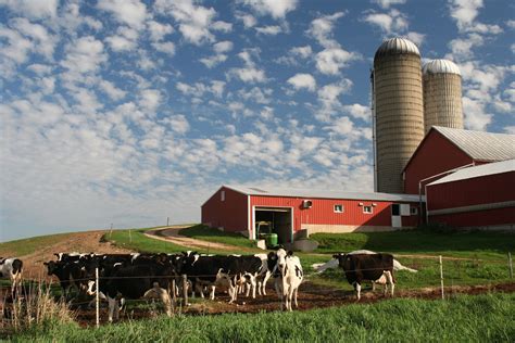 Dairy Farm Images