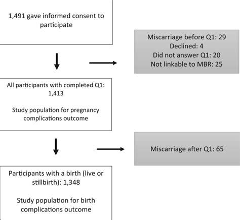 Image result for A Flowchart That Show the Process of Conception