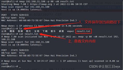 Nmap Scan Me 的图像结果