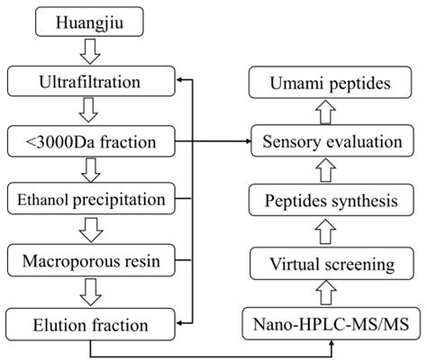 Sensory-Guided Isolation, Identification, and Active Site Calculation ...